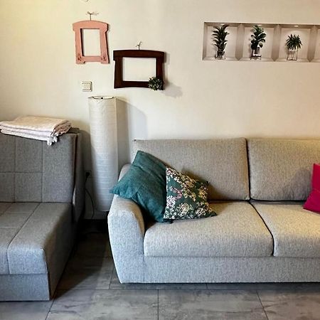 Novigrad Istria Lara Deluxe Superior 5 Star Apartment, Your Piece Of Heaven By The Sea & Park מראה חיצוני תמונה