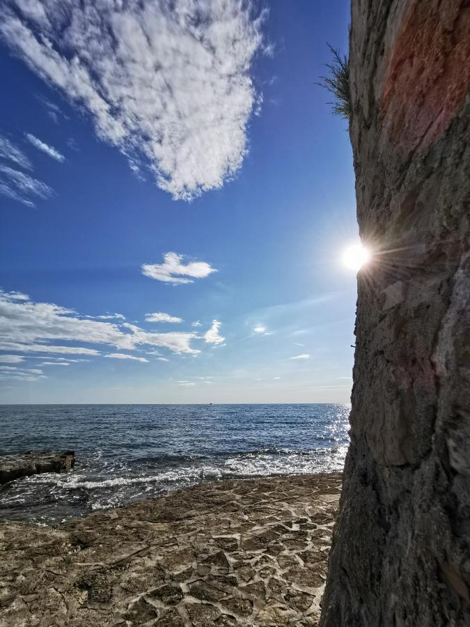 Novigrad Istria Lara Deluxe Superior 5 Star Apartment, Your Piece Of Heaven By The Sea & Park מראה חיצוני תמונה